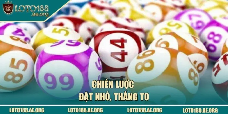 Sử dụng phương pháp câu mồi nhỏ nhận về cá lớn