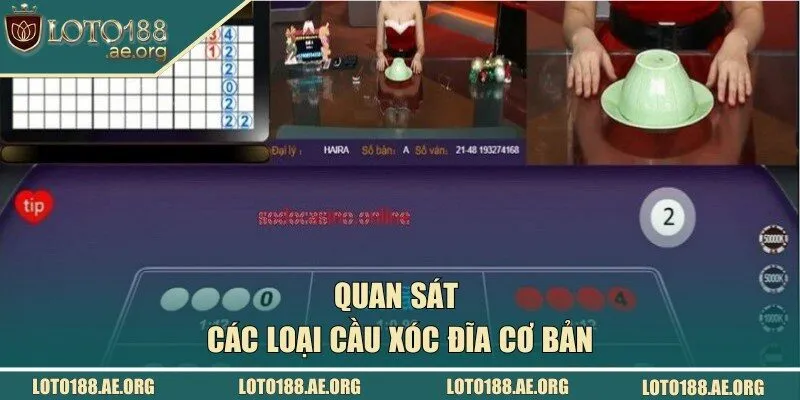 Quan sát các loại cầu xóc đĩa cơ bản
