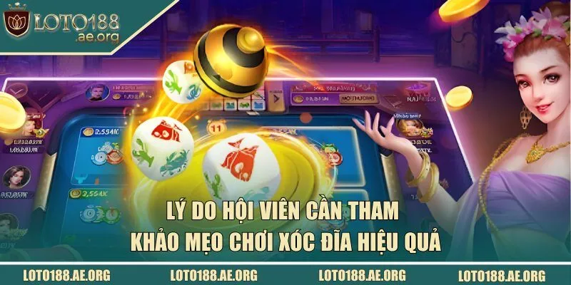 Lý do bạn cần tham khảo mẹo chơi xóc đĩa hiệu quả