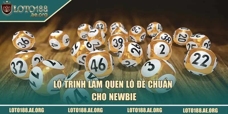 Lộ trình làm quen lô đề chuẩn cho newbie